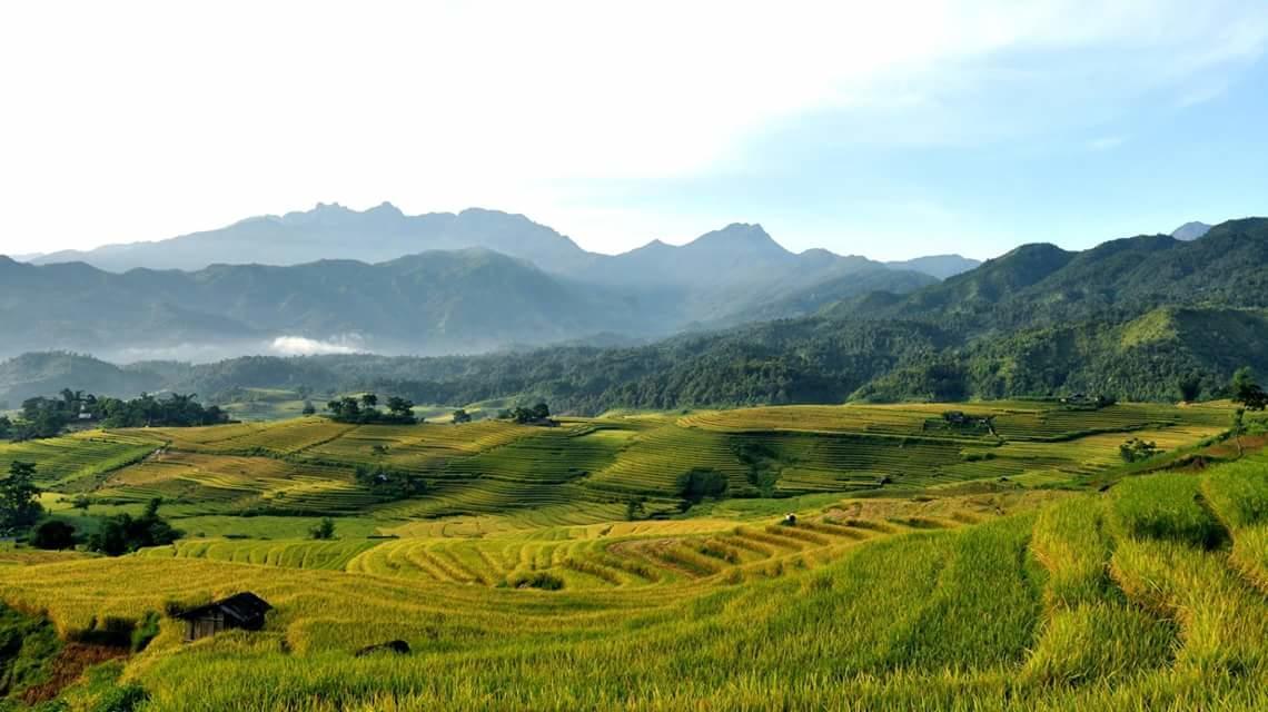 Hieu Dang Sapa Hotel Eksteriør billede